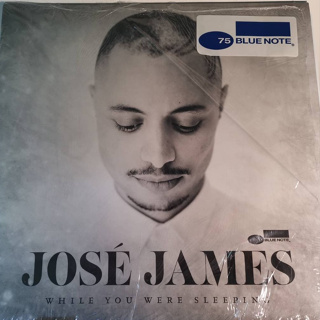 แผ่นเสียง Jose James - while you were sleeping แผ่น original bluenote record