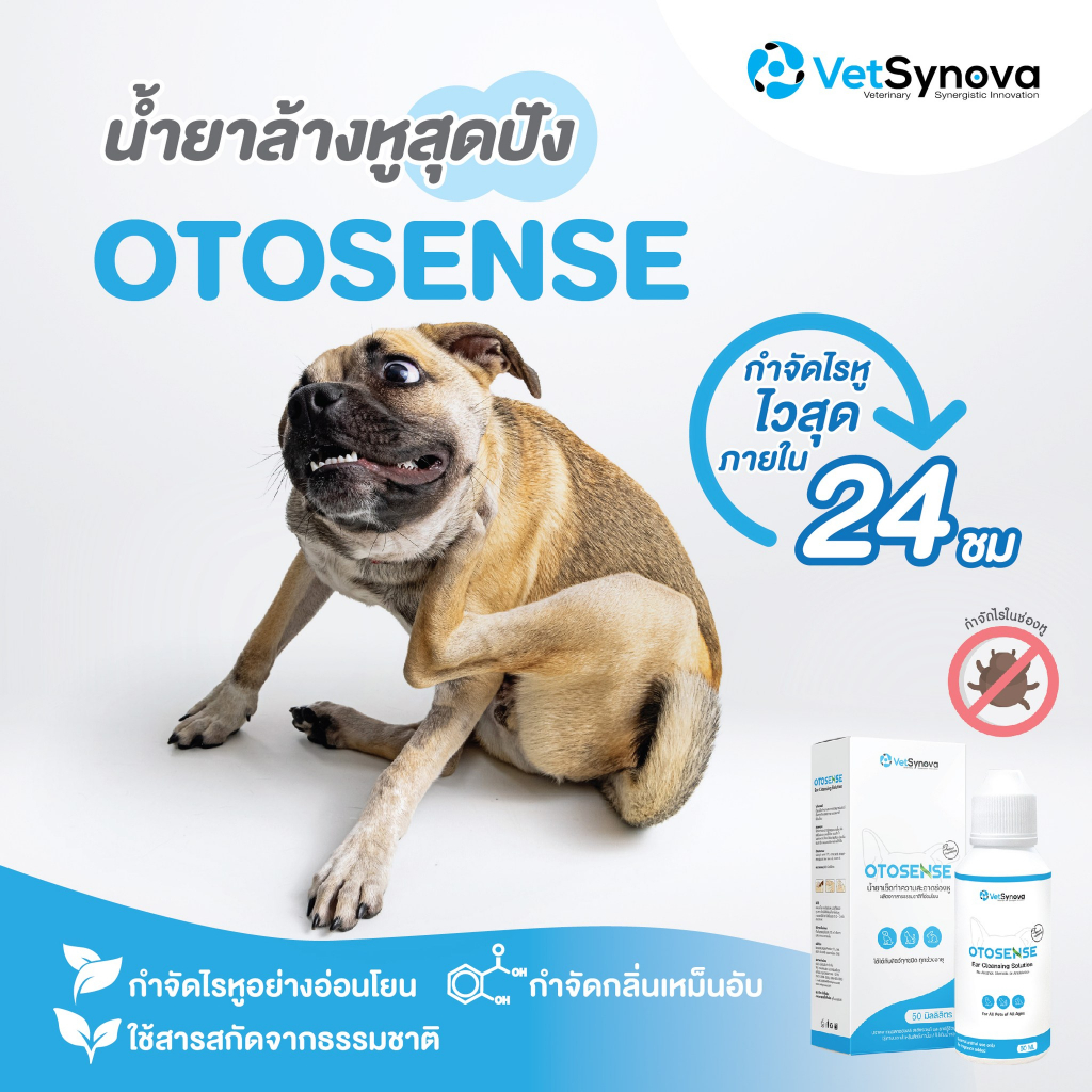 ของแท้-otosense-เช็ดหู-กำจัดไรในหู-ขี้หูดำ-กลิ่นอับ-คัน-ทำความสะอาดช่องหู