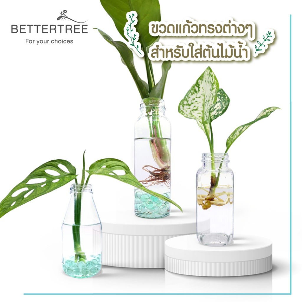 ภาพหน้าปกสินค้าขวดแก้ว ใส่ต้นไม้เลี้ยงน้ำ แจกันมินอมอล แจกันแก้ว vase จากร้าน bettertree บน Shopee