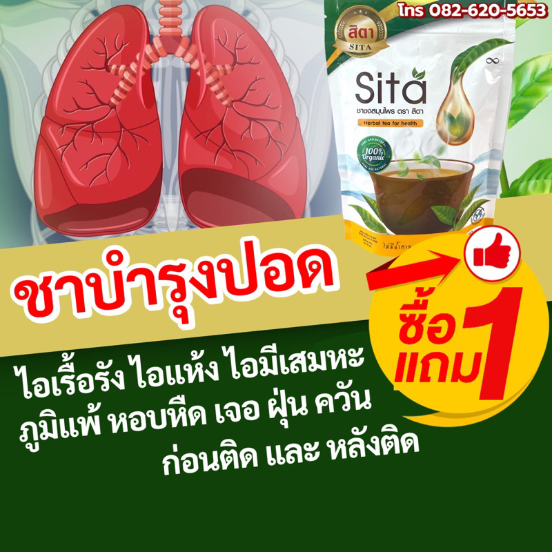 ชาบำรุงปอด ชาสิตา (Sita) แก้ไอ ขับเสมหะ ล้างสารพิษ ฝุ่นควันในปอด  เสริมภูมิคุ้มกัน | Shopee Thailand