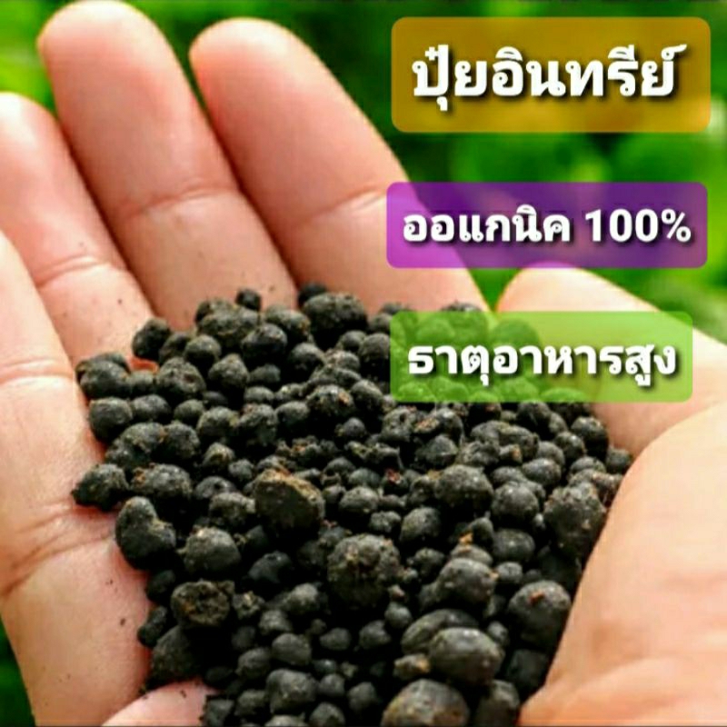 ปุ๋ยอินทรีย์-100-ปุ๋ยออร์แกนิค-1kg-สูตร-บำรุงต้น-ผล-ใบ-ผล