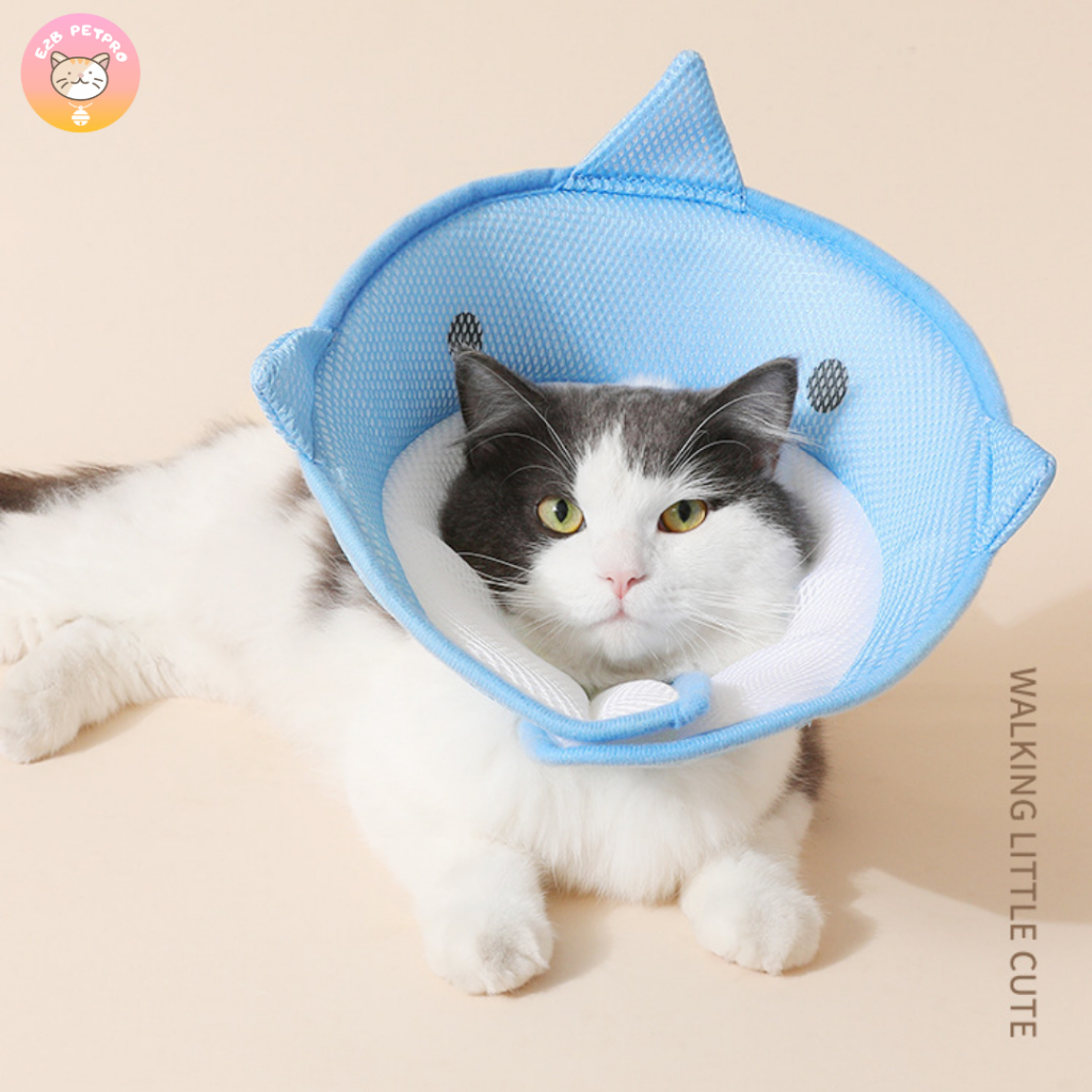 ปลอกคอกันเลีย-ปลอกคอแมว-คอลล่าแมว-กันเลียแผลฉลามน้อยนุ่มนิ่ม-c034