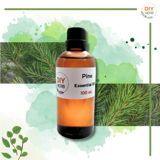หัวน้ำหอมแท้ กลิ่นป่าสน Pine Essential Oil 100 ml.เกรดพรีเมียม ทำเครื่องหอม เครื่องสำอางค์ Lotion , cream , soap