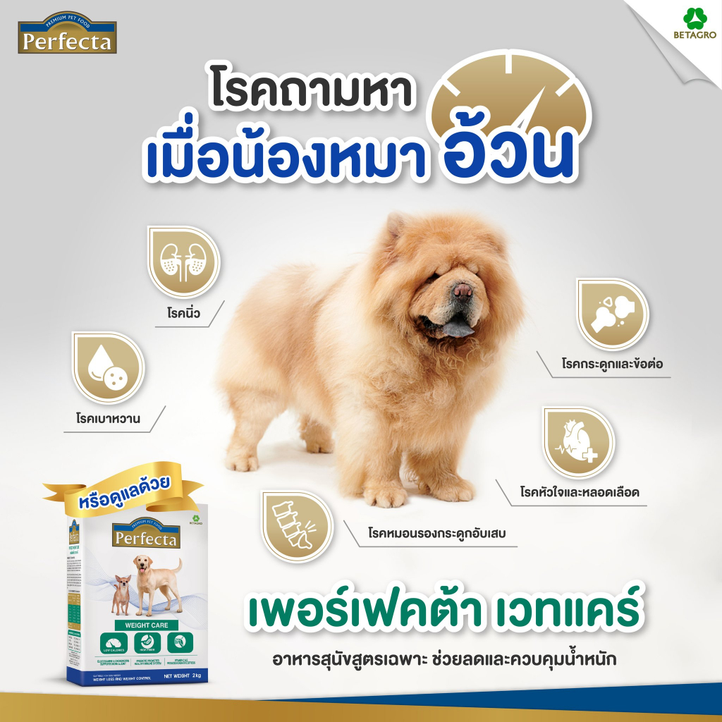 แถม100กรัม-perfecta-500g-อาหารสุนัขลดน้ำหนัก-อาหารสุนัขควบคุมน้าหนัก-อาหารสุนัขอ้วน-bnn-petshop