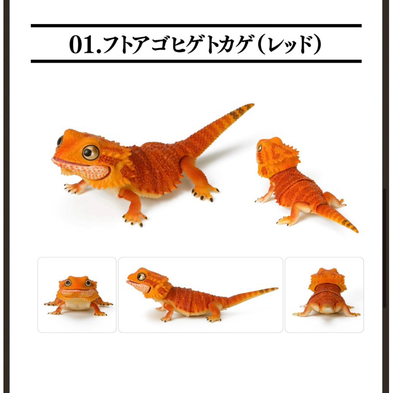 gashapon-กาชาปองญี่ปุ่นแท้-ตัวเบี๊ยดดราก้อน-bearded-dragon