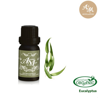 Aroma&amp;More Eucalyptus Essential Oil Organic Nepal 100% / น้ำมันหอมระเหยยูคาลิปตัส 100% ออร์แกนิค เนปาล 10/30ML