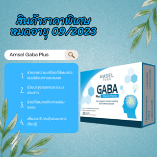 สินค้าราคาพิเศษ หมดอายุ 09/2023 Amsel Gaba Plus Vitamin Premix 20 แคปซูล ช่วยเพิ่มสมาธิ ลดความเครียด กระตุ้นการเรียนรู้