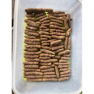 #พร้อมส่ง ไข่ตั๊กแตนปาทังก้า รับประกันคุณภาพดูแลหลังการขายจนฟักไข่#ตั๊กแตนปาทั้งก้า#ไข่ตั๊กแตน