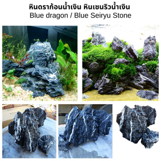 หินดราก้อนน้ำเงิน หินเซนริวน้ำเงิน Blue dragon /Seiryu Stone สำหรับตกแต่งตู้ปลา ตู้ไม้น้ำ แต่งสวน  สวนถาด🚚สินค้าพร้อมส่ง