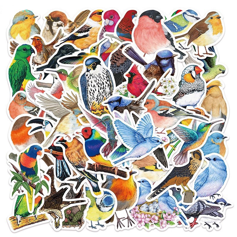 สติ๊กเกอร์-น้องนกน่ารัก-560-นกแก้ว-50ชิ้น-มาคอร์-ฟอพัส-ซันคอนัวร์-หงหยก-bird-parrot-parakeet