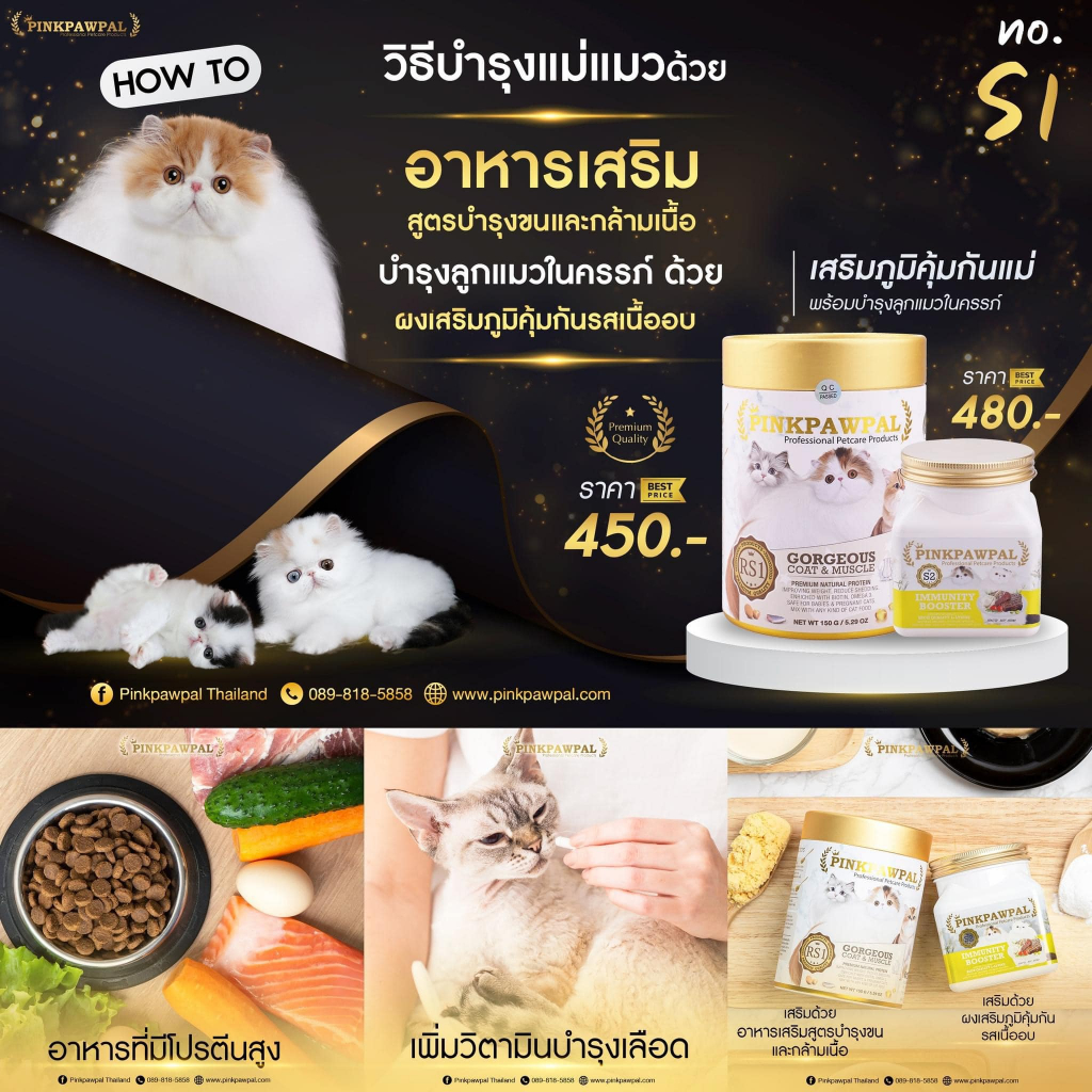 พร้อมส่ง-pinkpawpal-อาหารเสริมเพิ่มน้ำหนัก-แอลไลซีน-เพิ่มอยากอาหาร-ขนาดทดลอง