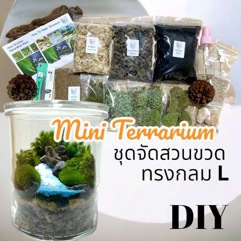 ชุดจัดสวนขวด-สวนขวด-terrarium-ขวดแก้วกลมใหญ่ไซค์-l