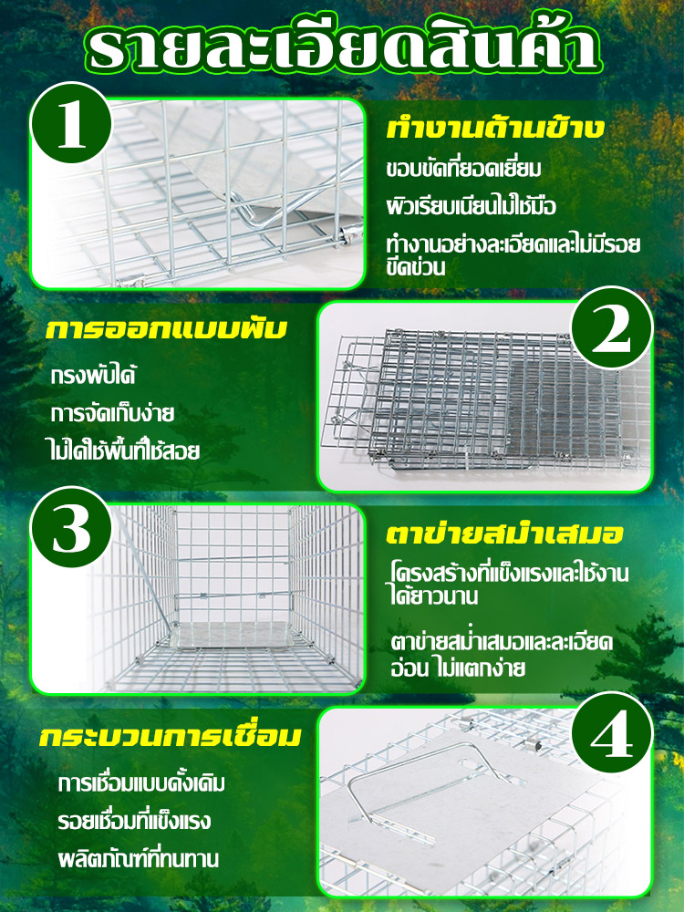 cattrap4you-กรงดักแมว-กรงดักแมวคะ-ไซส์-xl-ส-เหล็กเส้น-ชุบกาวาไนท-กันสนิม-พับได้-จับแมวจรจัด-จับแมว-ดักจับแมว