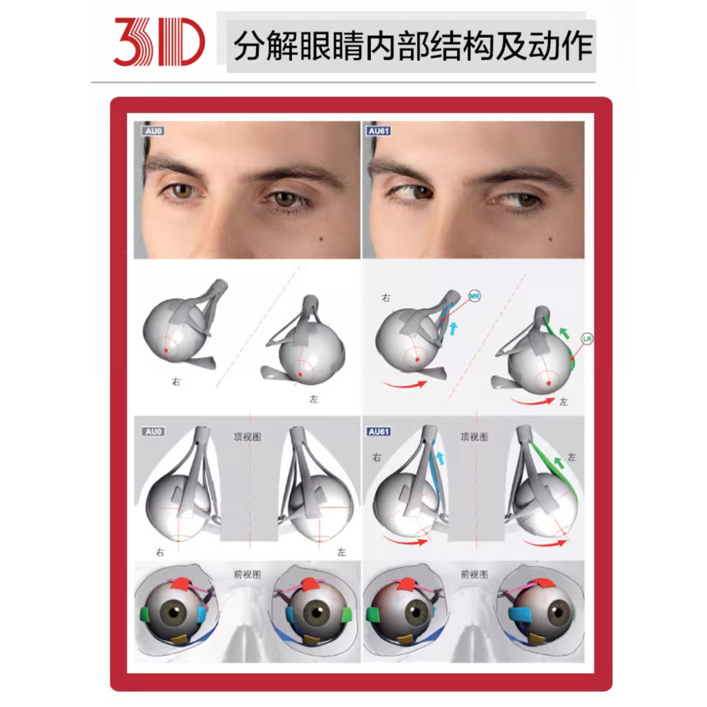 anatomy-of-facial-expression-หนังสือโครงสร้างการแสดงออกทางใบหน้า-ท่าทางของตัวละคร-3-มิติ-หนังสือศิลปะ-หนังสือสอนวาดรูป