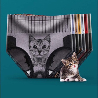 🎉(3-10ตัว)กางเกงในผ้านุ่มลายแมว ยืดหยุ่นได้ดี ไม่อับชื้น สวมใส่สบาย