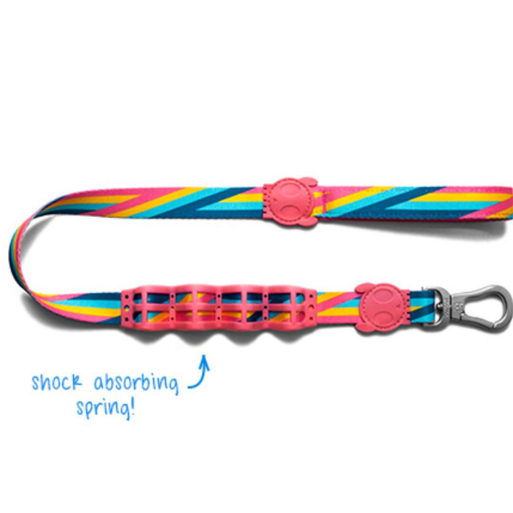 พร้อมส่ง Zeedog RUFF LEASHES Shock absorbing leash สายจูงสุนัข ช่วยลด