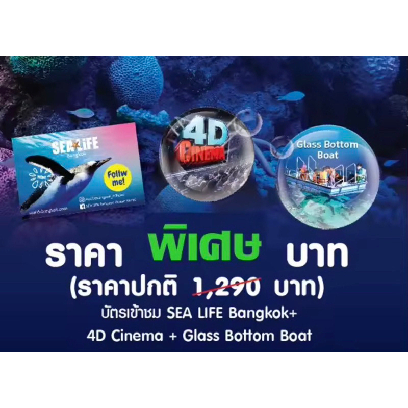 qrcode-barcode-บัตรซีไลฟ์-สยามโอเชียลเวิลด์-sealife-ocean-world-sea-life-4d-ภาพยนต์-4-มิติ-นั่งเรือท้องกระจก