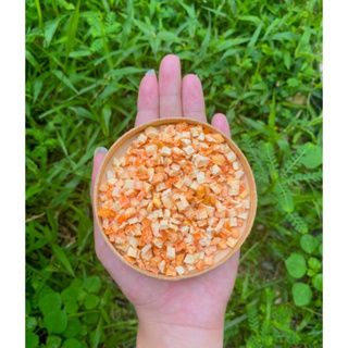 🥕 แครอทส้ม Freeze dried สำหรับสัตว์ฟันแทะทุกชนิด ( กระรอก กระแต แฮมเตอร์ ดอร์เม้าส์ บุชเบบี้ )