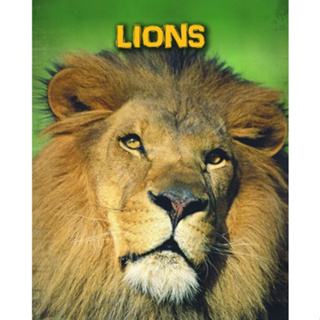 DKTODAY หนังสือ INFOSEARCH LIVING IN THE WILD:LIONS