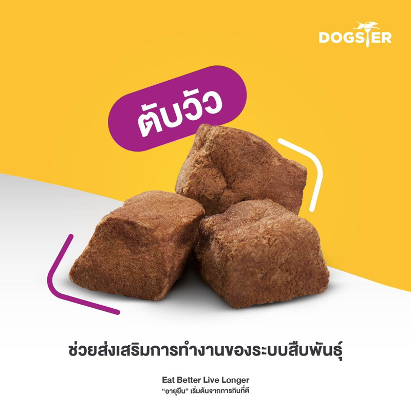 dogster-play-mini-18-g-ขนมหมาดรายฟรีส-เนื้อล้วน