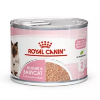 Royal Canin BabyCat Can อาหารชนิดเปียก แบบกระป๋อง แม่และลูกแมว สำหรับลูกแมวอายุ1-4เดือน