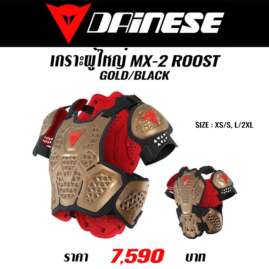 ของแท้-เกราะผู้ใหญ่-dainese-mx2-roost-guard