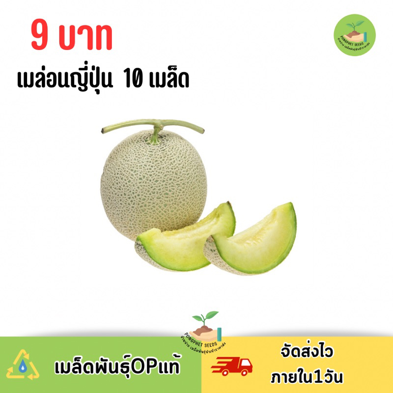 9-บาท-เมล็ดพันธุ์-เมล่อนญี่ปุ่น-บรรจุ10-เมล็ด