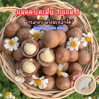 แมคคาเดเมีย (กะลาอบ1ฟรี1) อบธรรมชาติ