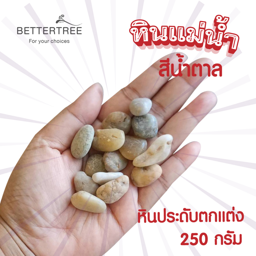 หินแม่น้ำสีน้ำตาล-250-g-หินประดับตกแต่ง-หินใส่กระถางเล็กๆ-หินแม่น้ำ-หินใส่แจกัน-หินตกแต่งสวนถาด-หิน-หินสี-ต้นไม้