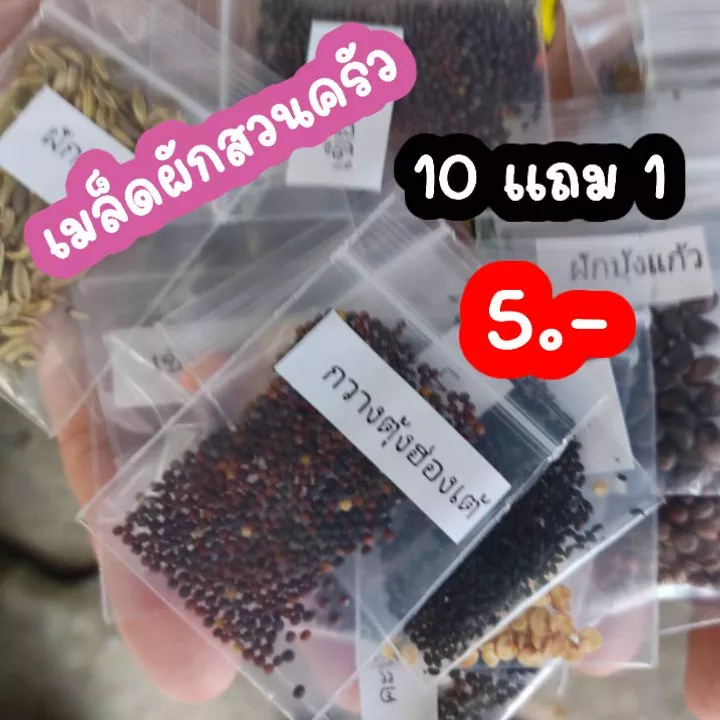 เมล็ดแตงไทย-เมล็ดผัก-เมล็ดพันธุ์ผัก-เมล็ดผักสวนครัว-10แถม1-คละได้