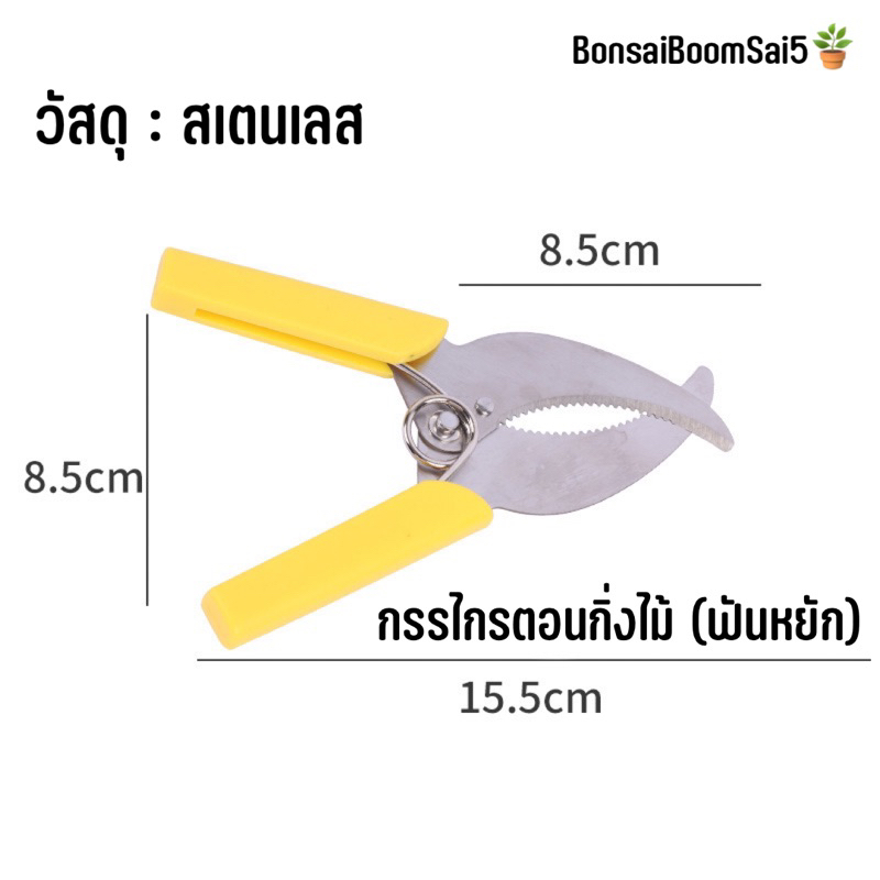 กรรไกรตอนกิ่งไม้-ที่ตอนกิ่งไม้-อุปกรณ์ตอนกิ่ง