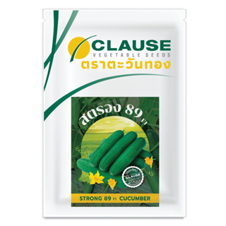 CLAUSE ตราตะวันทอง แตงร้าน สายพันธุ์ลูกผสม สตรอง 89 (CUCUMBER Strong 89 F1) 10 กรัม