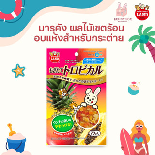 BUNNY BOX  มารุคัง ผลไม้เขตร้อนอบแห้ง 70g สำหรับกระต่าย แกสบี้ แฮมสเตอร์ สัตว์เล็ก