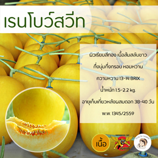 เมล็ดเมล่อนพันธุ์เรนโบว์สวีท 100 เมล็ด ตราพยัคฆ์ติดปีก เมล็ดพันธุ์ เมล่อนเนื้อส้มสลับขาว กึ่งนุ่มกึ่งกรอบ