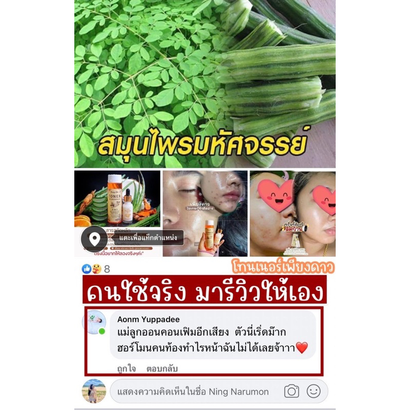 ชุดorganicเพียงดาว-miniset