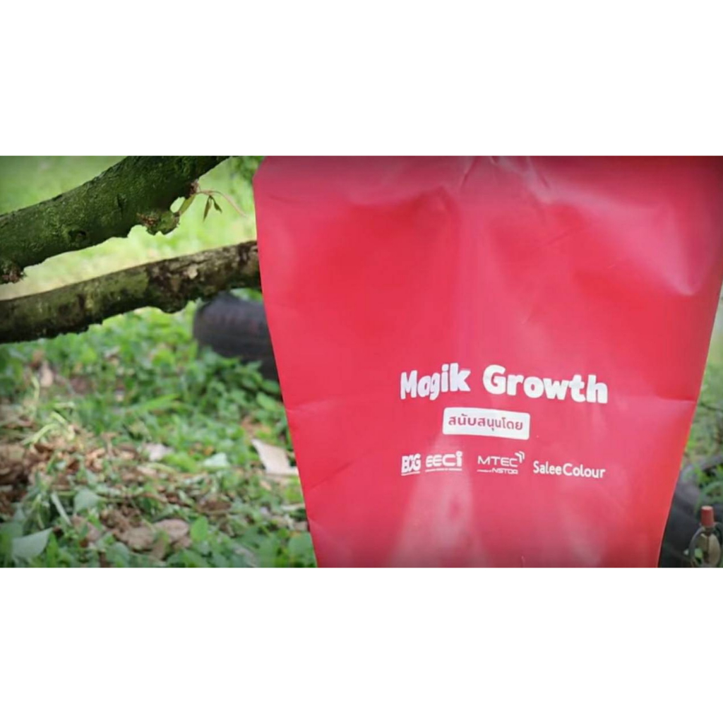 ใบละ 60 บาท ถุงห่อผลไม้ ทุเรียน ตรา Magik Growth สีแดง สวทช เอ็มเทค ...