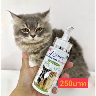 Amzyme Organic Pet Shamppo ลดกลิ่น/ค​ั​น​ ขนร่วง