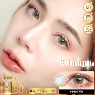 เลนส์ฝาทอง kumama สีน้ำตาลและสีเทา ขนาดกลาง 14.5