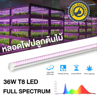 GrowSmart ชุดหลอดไฟ LED T8 grow light 36W full spectrum 120cm ไฟปลูกต้นไม้ ไฟเพาะต้นอ่อน clone LED light LED Grow Tube