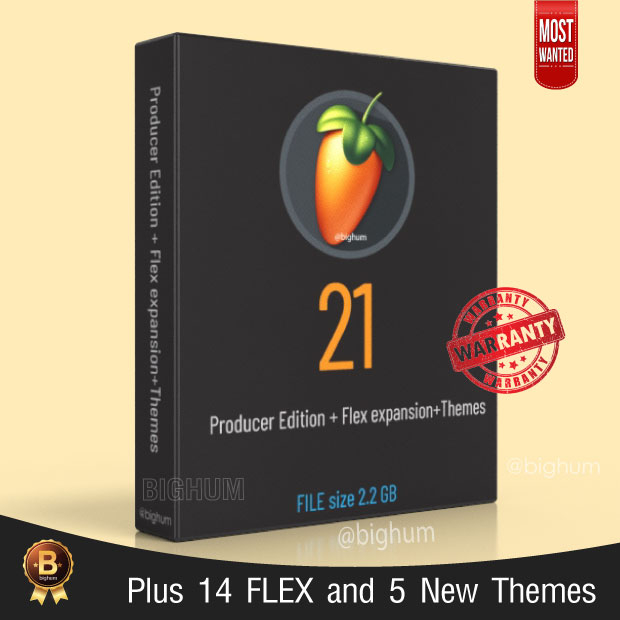 fl-studio-21-windows-producer-edition-flex-expansion-themes