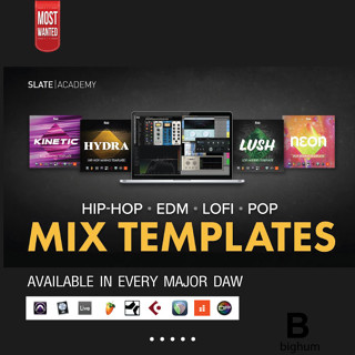 Slate Digital Pro Mix Templates With All Plugins Bundle Windows For DAW | สอบถามก่อนได้ครับ