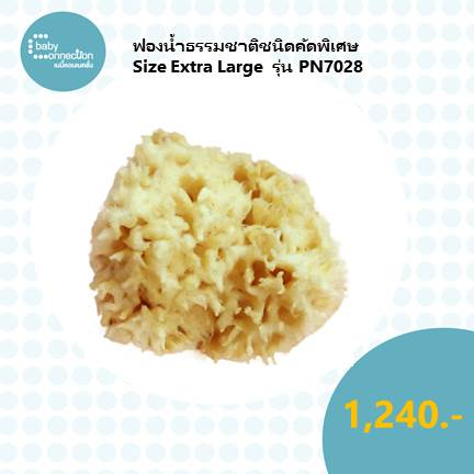 ฟองน้ำธรรมชาติชนิดคัดพิเศษ-size-extra-large-รุ่น-pn7028