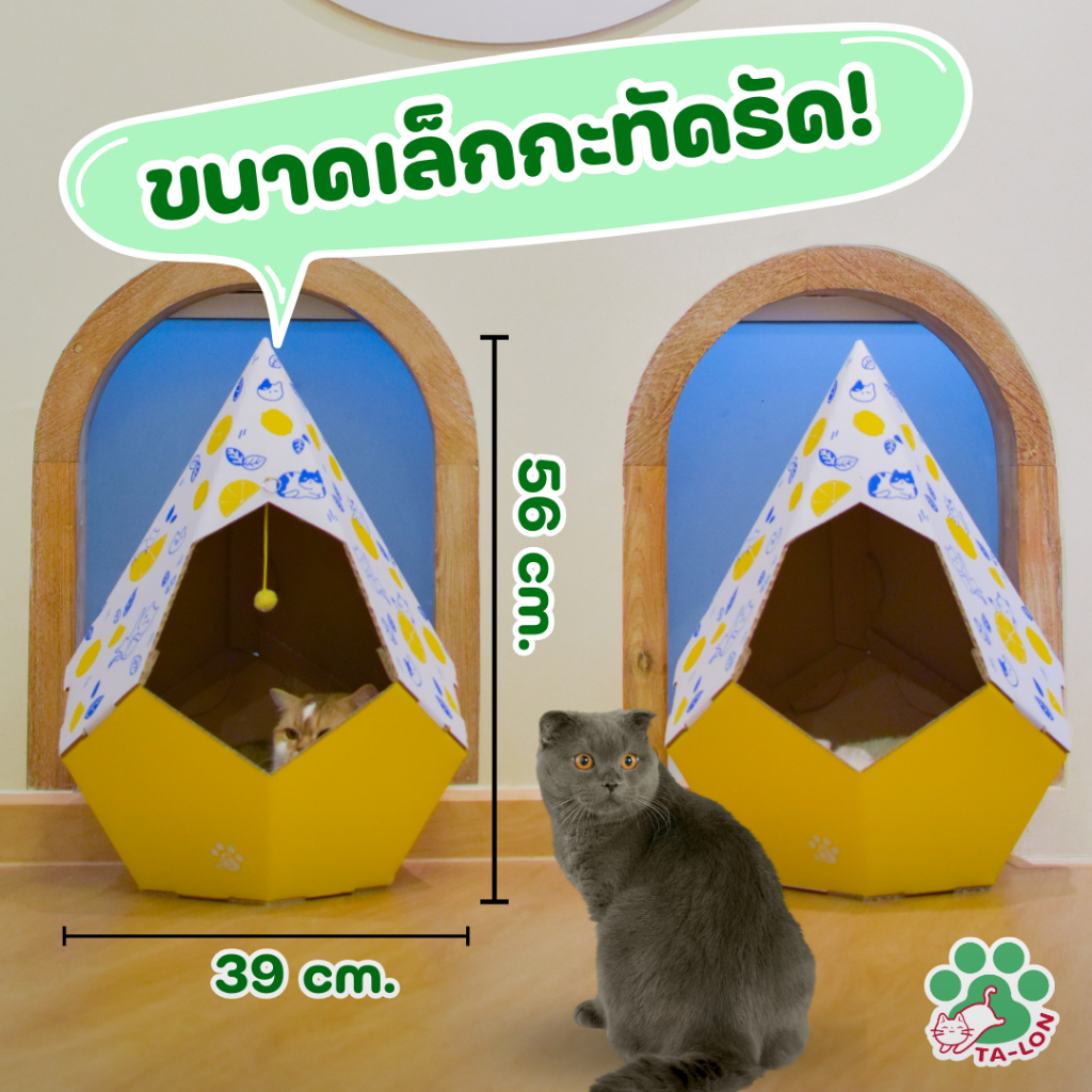 บ้านแมวทรงหยดน้ำ-dew-cat-house
