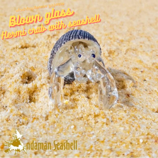 Andaman seashell  แก้วเป่าติดเปลือกหอย รูปปูเสฉวน ติดเปลือกหอย 41