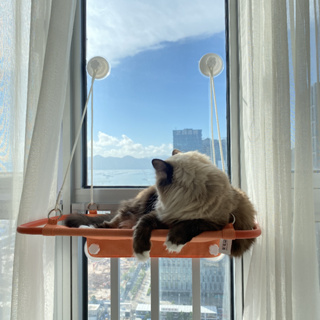 arare あられ | Furrytail Pet Window Perch-Orange เปลน้องแมวแบบติดกระจก รับน้ำหนักสูงสุด 30 กิโล