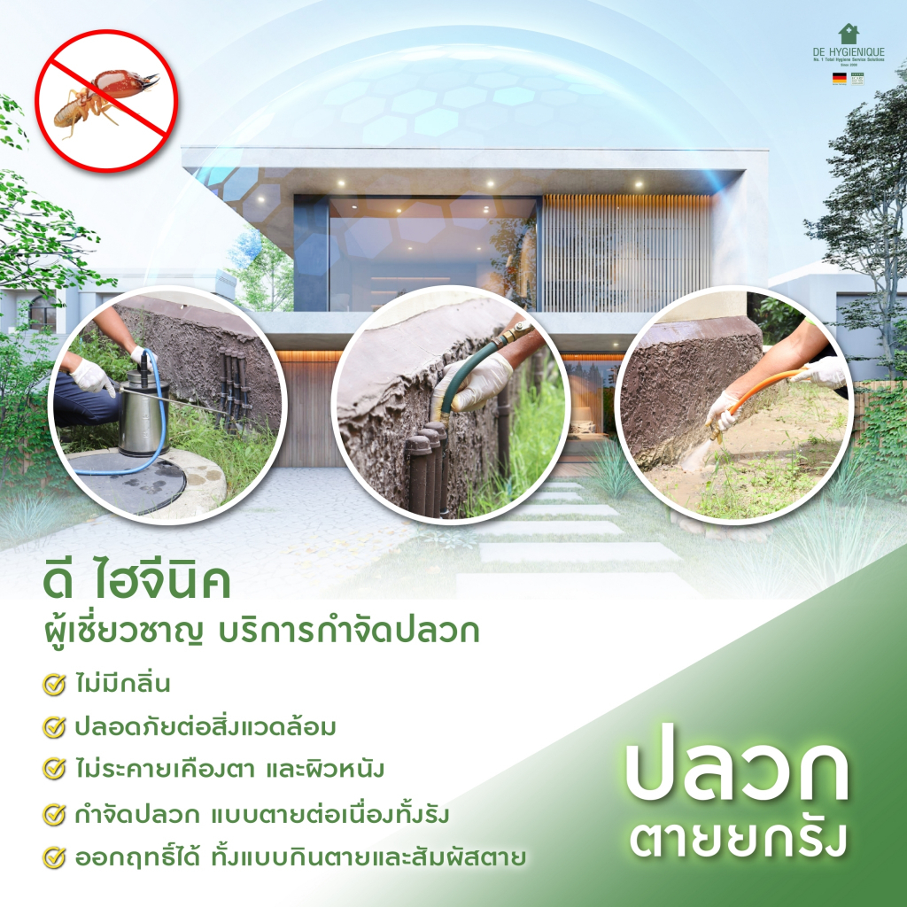 กำจัดปลวกตายยกรัง-โดยผู้เชี่ยวชาญที่มีประสบการณ์มากว่า-10-ปี