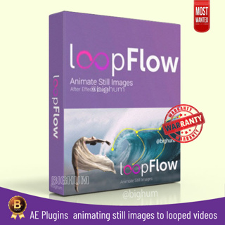 LoopFlow 1.3 AE plugin | windows / Mac