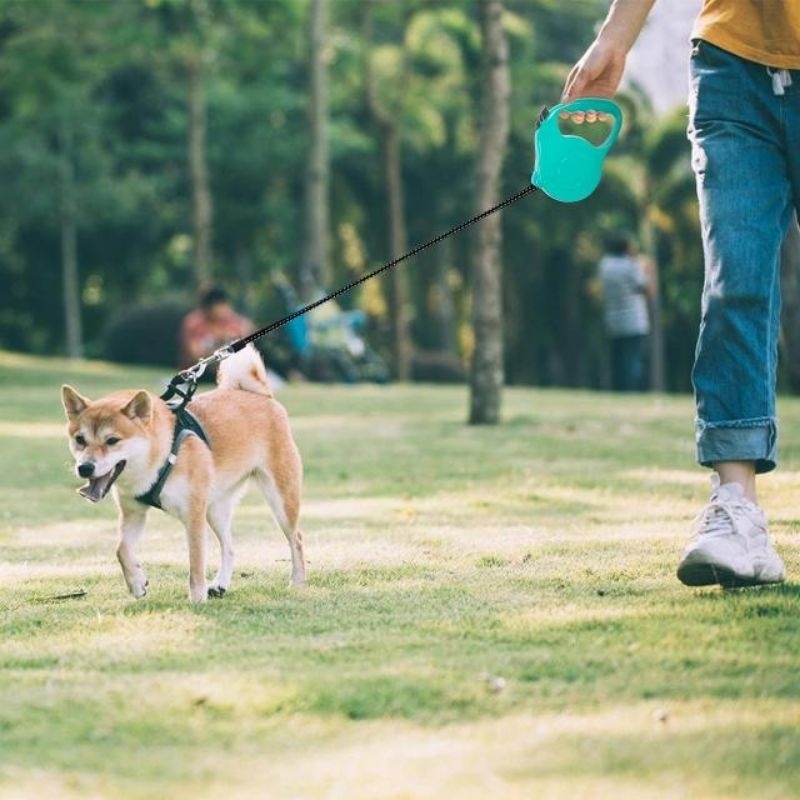 automatic-dog-leash-สายจูงสุนัขออโต้เมติก-า