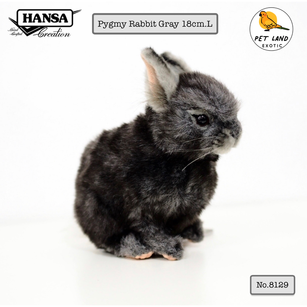 Hansa Creation ตุ๊กตากระต่ายแคระเสมือนจริง Pygmy Rabbit White/Cream ...
