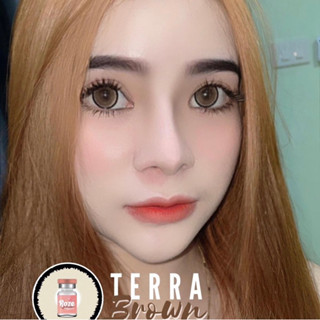 Terra brown (ตาโตพิเศษ) รุ่นโตกว่าปกติ 14.8mm บิ๊กอายส์